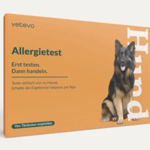 vetevo-allergietest-hund-gewinnspiel